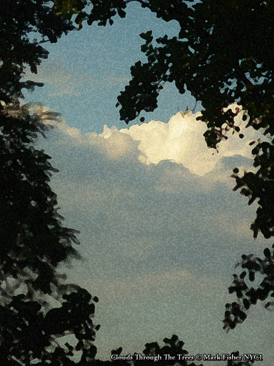 Clouds Through The Trees © Mark Fisher NYC1-9606