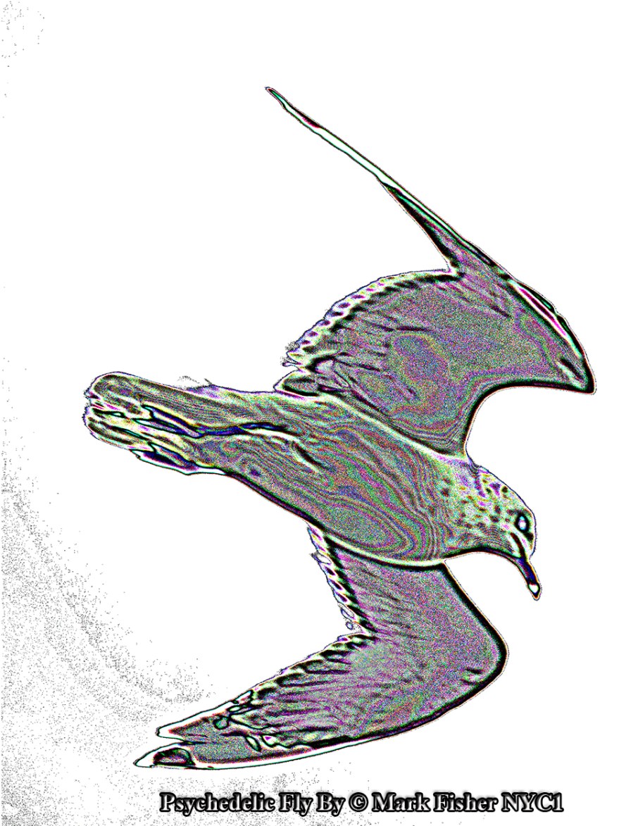 Psychedelic Fly By © Mark Fisher NYC1-1879