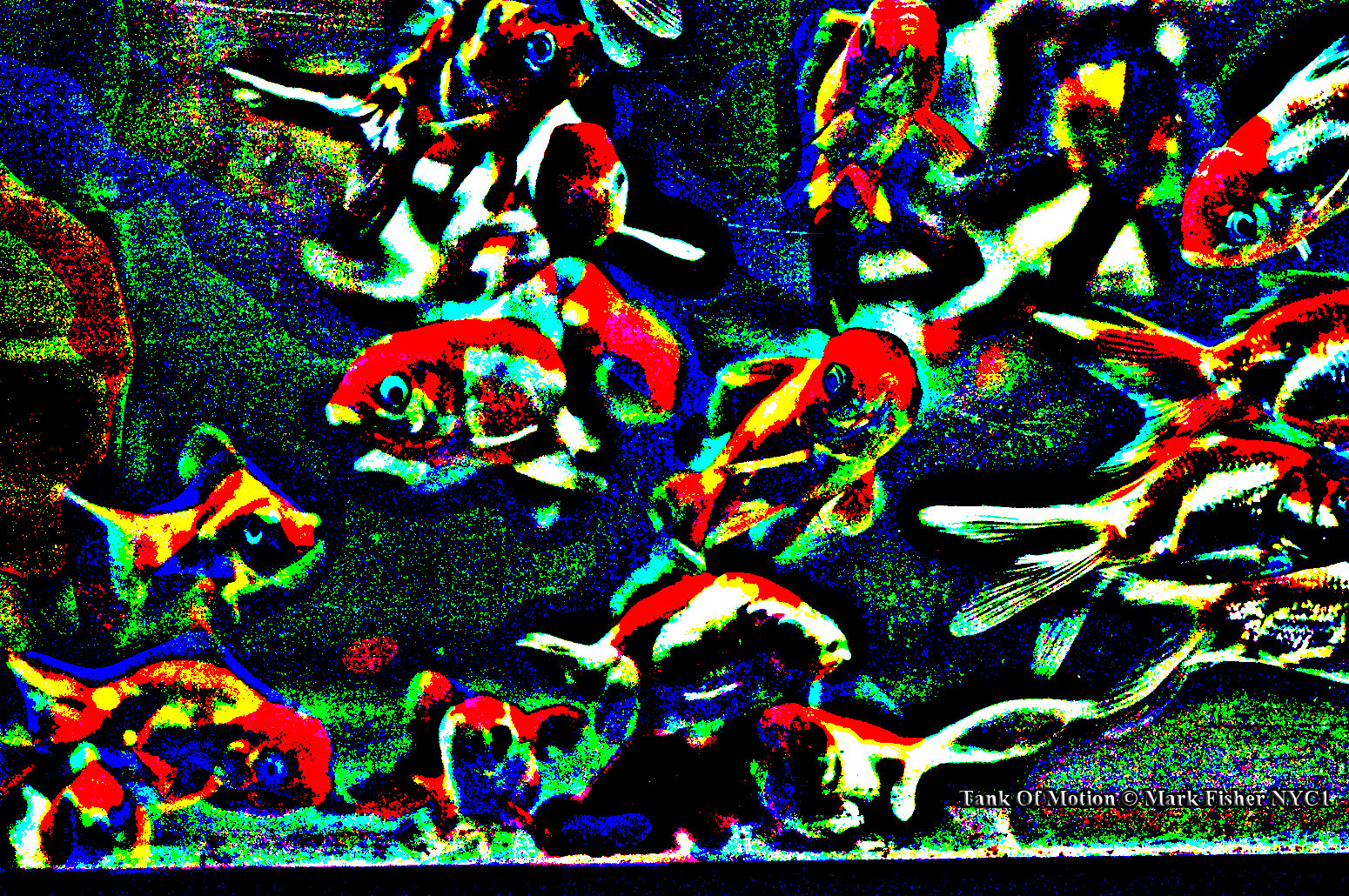 Tank Of Motion © Mark Fisher NYC1-7626