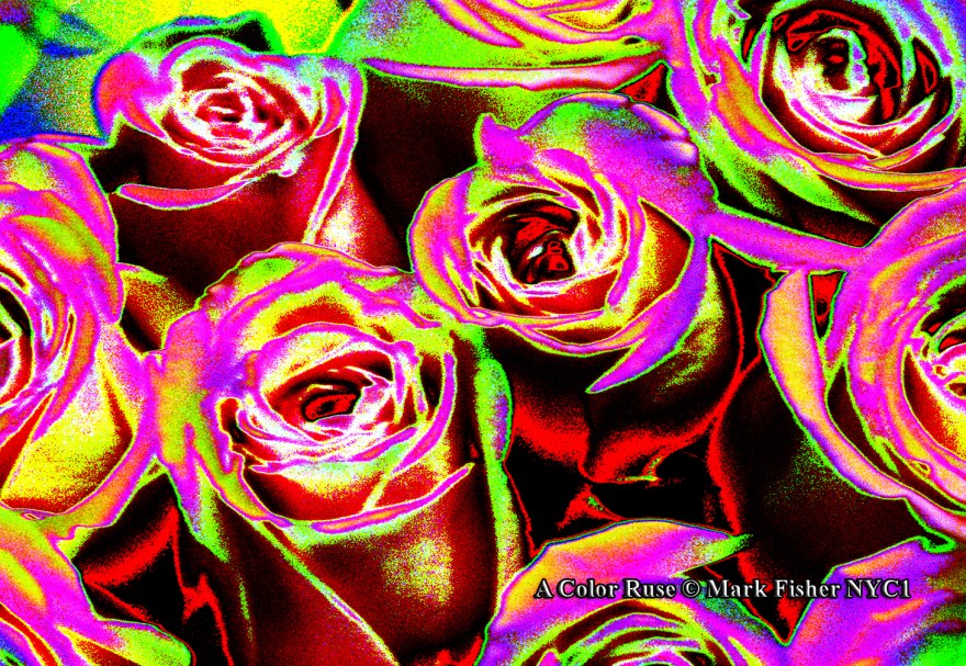 A Color Ruse © Mark Fisher NYC1-5635